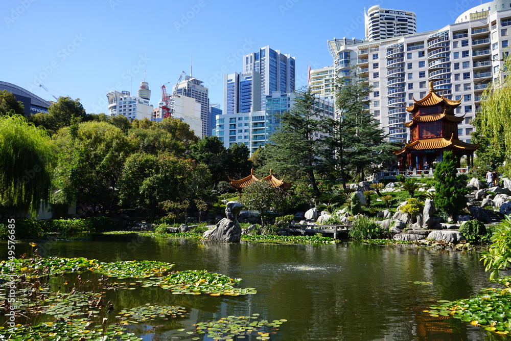 Beautiful Chinese garden and pond surrounding a pagoda contrasted by Sydney city in the background. Chinese Friendship Garden, Sydney, Australia.