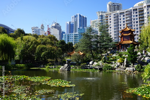 Beautiful Chinese garden and pond surrounding a pagoda contrasted by Sydney city in the background. Chinese Friendship Garden, Sydney, Australia.