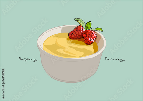 Vector Illustration of Raspberry Custard Pudding