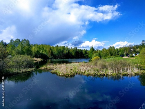 lake in the forest