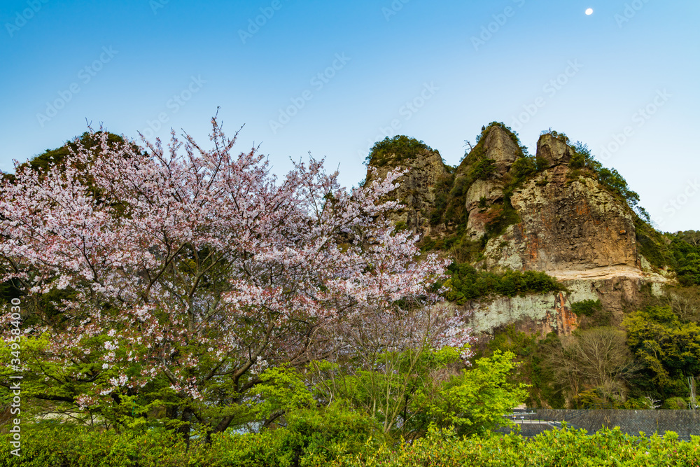 綺麗な桜の咲く春の耶馬渓(大分県)
