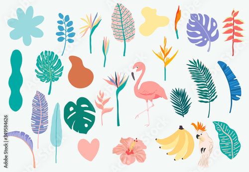 Summer object collection with flamingo,banana,parrot and flower.Vector illustration for icon,logo,sticker,printable,postcard and invitation
