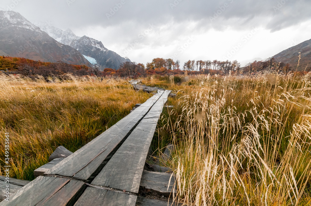 Boardwalk on hiking trail in Los Glaciares National Park, Argentina.