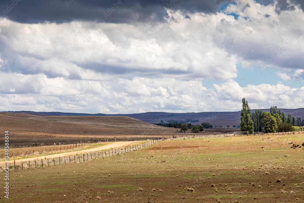 Agriculture landscape in New South Wales, Australia at a cloudy and stormy day in summer.
