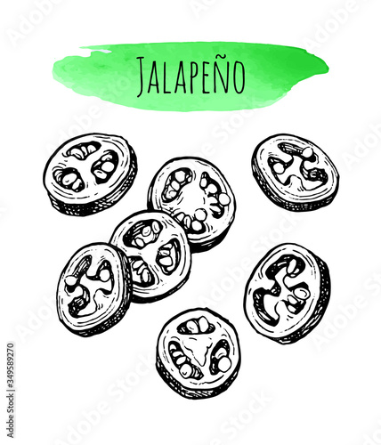 Ink sketch of jalape o