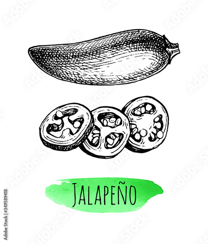Ink sketch of jalape o