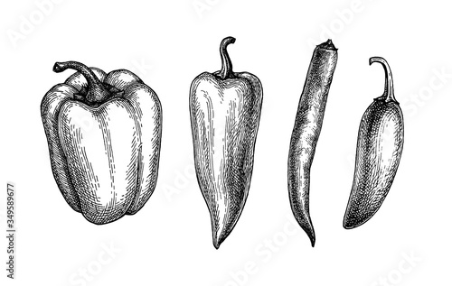 Print op canvas Ink sketch of peppers