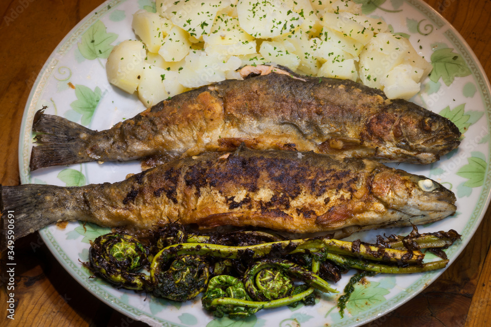 Trout for Dinner with Parsley Potatoes and Fiddlehead Ferns. Trout for Dinner with Parsley Potatoes and Fiddlehead Ferns.