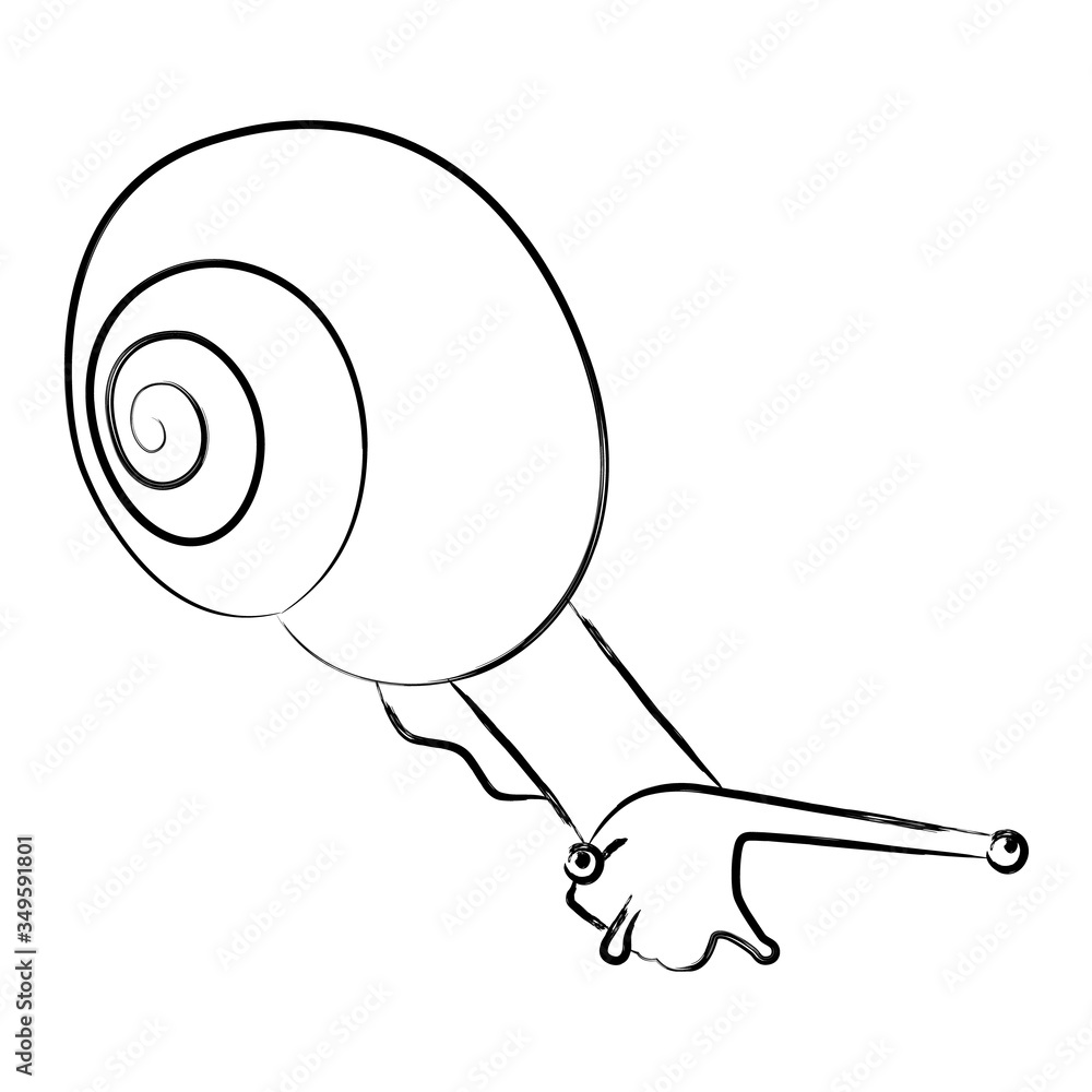 Illustration of a snail in thin line style, stroke. Isolated black silhouette snail on a white background. Vector illustration in line art style. The mollusk creeps down, it has a large spiral shell Illustration of a snail in thin line style, stroke. Isolated black silhouette snail on a white background. Vector illustration in line art style. The mollusk creeps down, it has a large spiral shell
