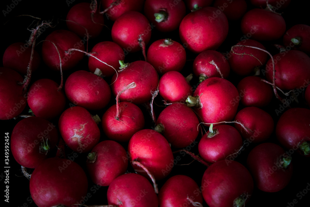 European spring fresh radish. Black background. European spring fresh radish. Black background.