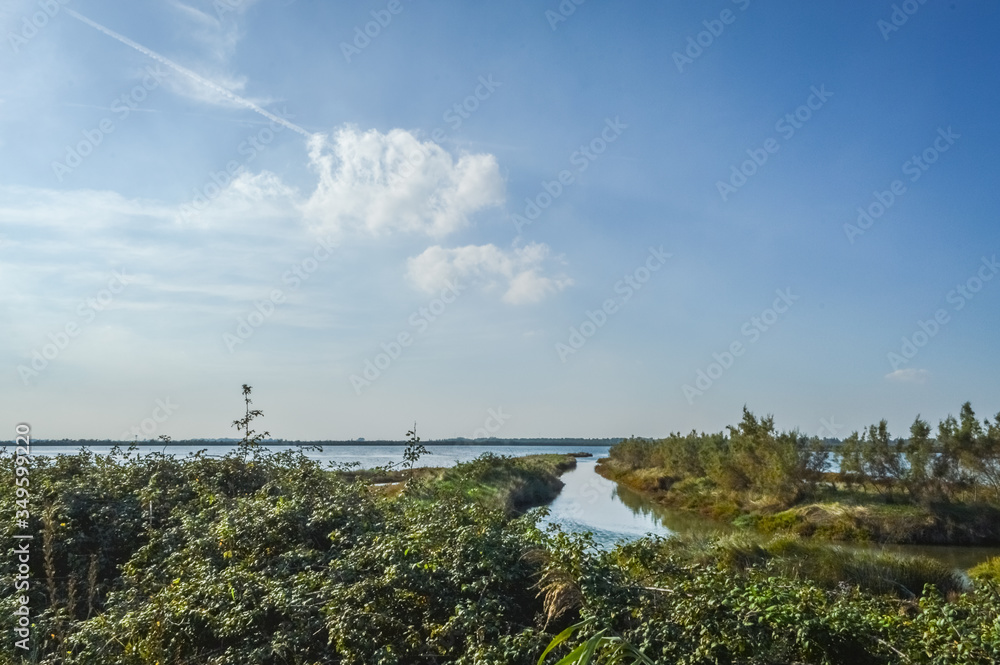 wetland at the po river delta in the north italy wetland at the po river delta in the north italy
