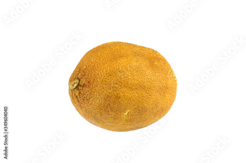 dry lemon isolated on white background photo