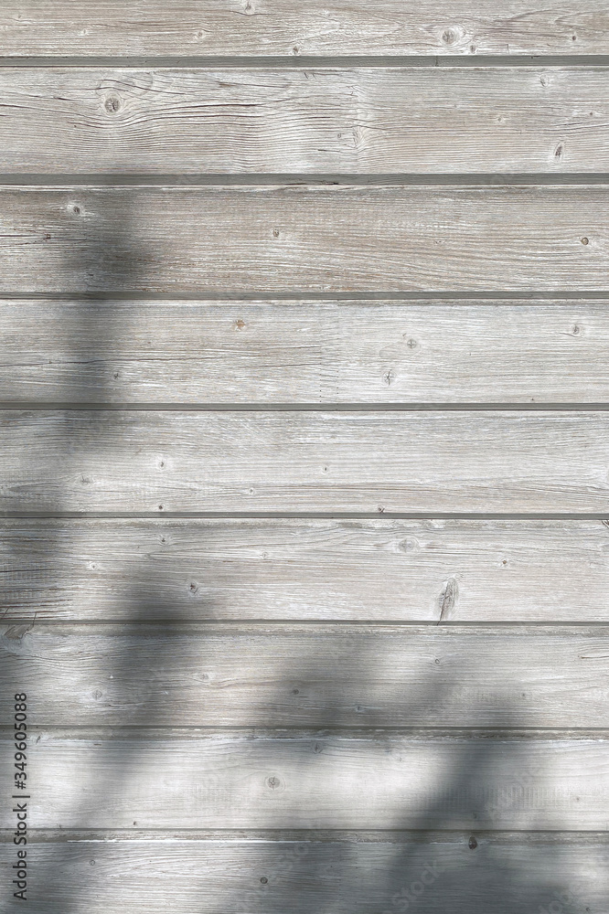 Fototapeta premium background of wooden boards with the shadow of branches