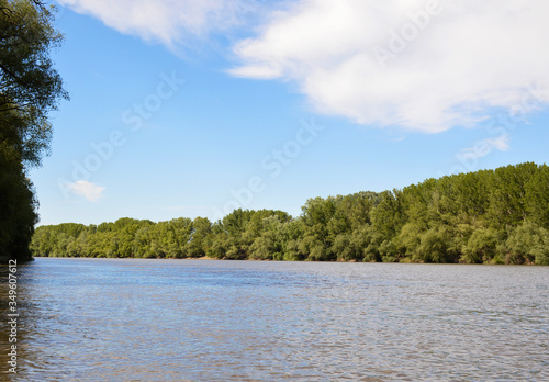 summer day near the river. water surface of the river, opposite the shore in the green of trees, from above a blue sky with white clouds