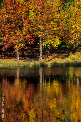 Autumn landscape scene Himeville, South Africa. Autumn trees and lake, Kenmo