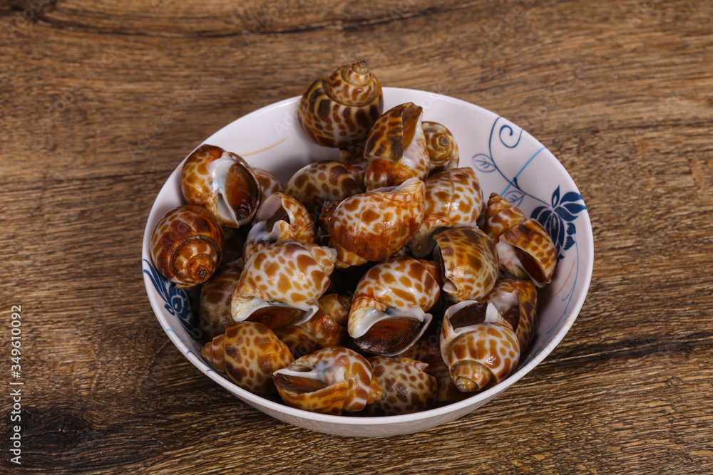 Tasty mollusk - spotted Babylon in the bowl Tasty mollusk - spotted Babylon in the bowl