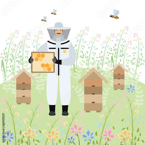 beekeeper near the hives at work