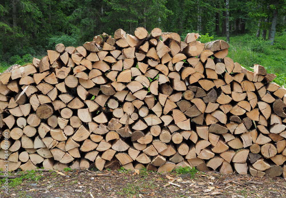 Lagerplatz - Holzscheite lagern im Wald