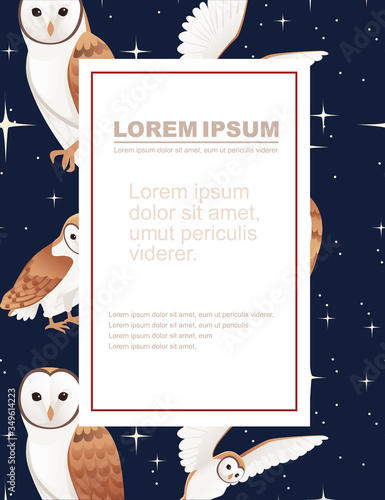 Advertising flyer design with cute barn owl (tyto alba) with white face and brown wings cartoon wild forest bird animal design flat vector illustration on dark night background with glittering stars