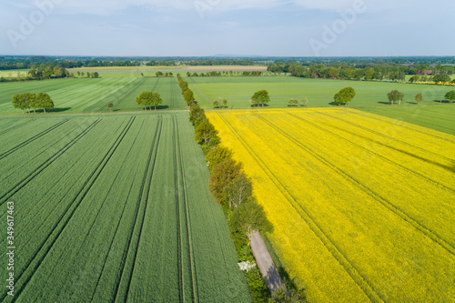 Frische Felder im Mai aus der Luft