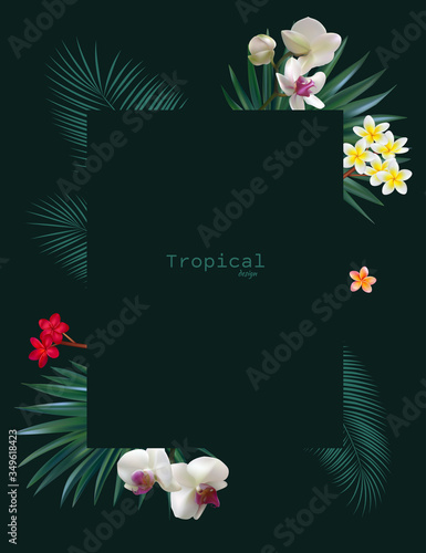 Beautiful tropical flowers. Palm leaves. White orchids. Plumeria. Frangipani. Floral background. Exotic plants. Dark.