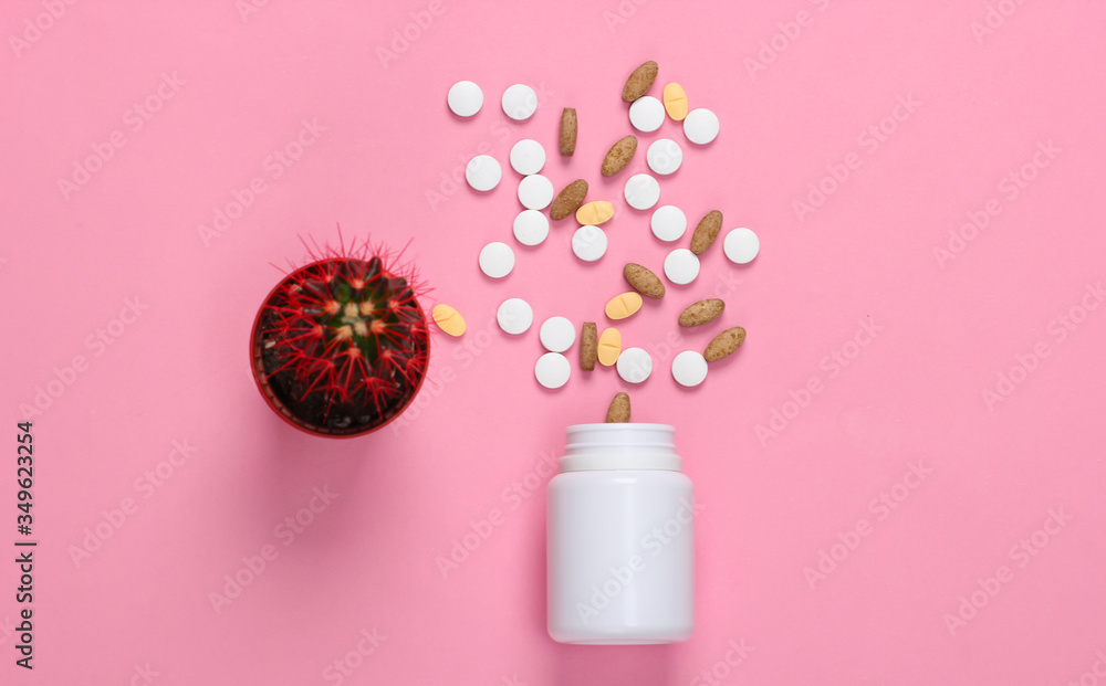 Cactus in a pot and bottle of pills on pink background. Top view