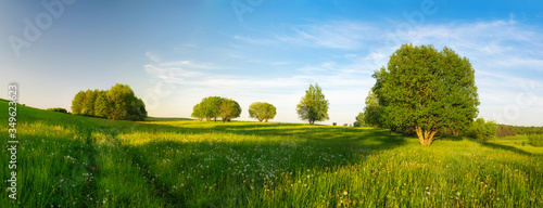 Road through a meadow full of dandelions. May landscape. Masuria, Poland.