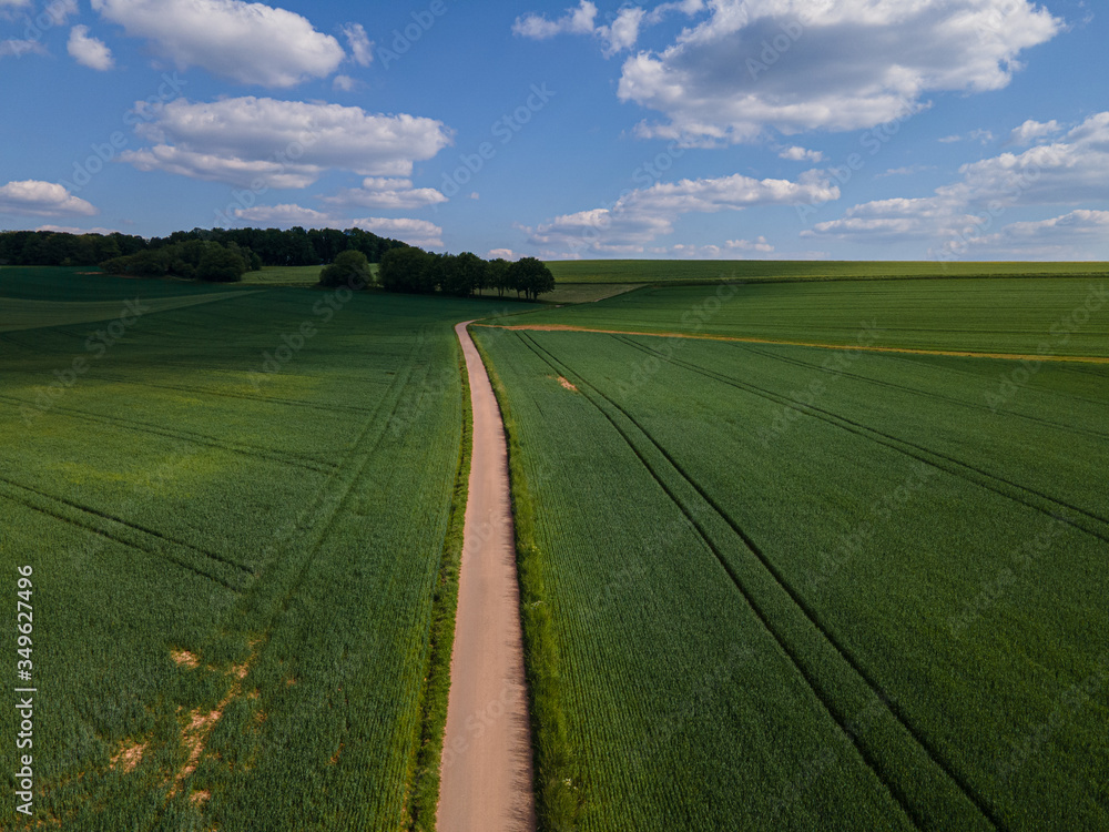 Path through farmland and green nature - aerial view by drone