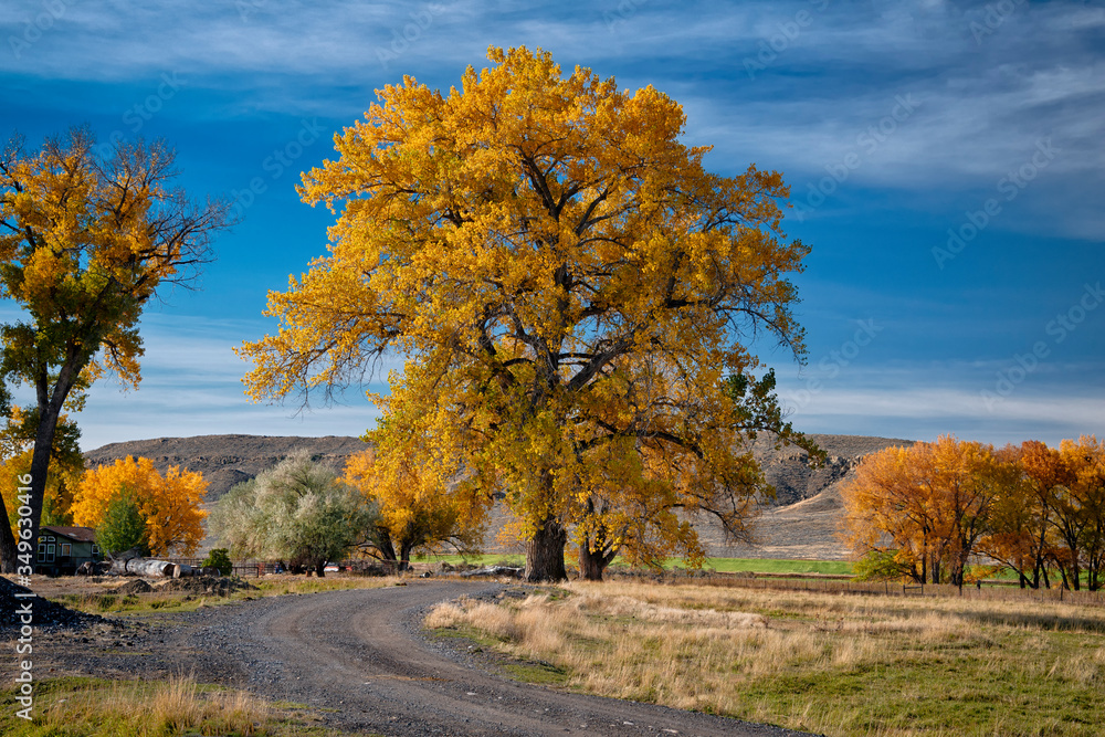 Belfry Fall Landscape 5