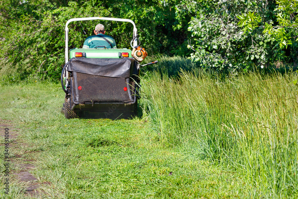 Fototapeta premium Mowed green grass gathers in the hopper of a professional lawnmower, which moves forward in a slight blur.