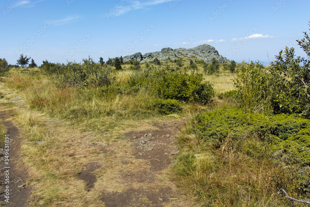 Autumn view of Vitosha Mountain, Bulgaria Autumn view of Vitosha Mountain, Bulgaria