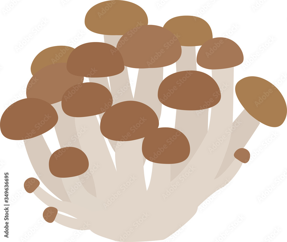イラスト素材 ぶなしめじ しめじ きのこ キノコ 秋 料理 ベクター Stock Vektorgrafik Adobe Stock イラスト素材 ぶなしめじ しめじ きのこ キノコ 秋 料理 ベクター Stock Vektorgrafik Adobe Stock