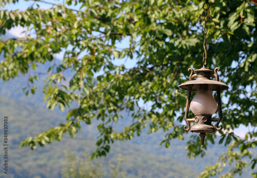 Retro style lantern close-up among green leaves close-up Retro style lantern close-up among green leaves close-up