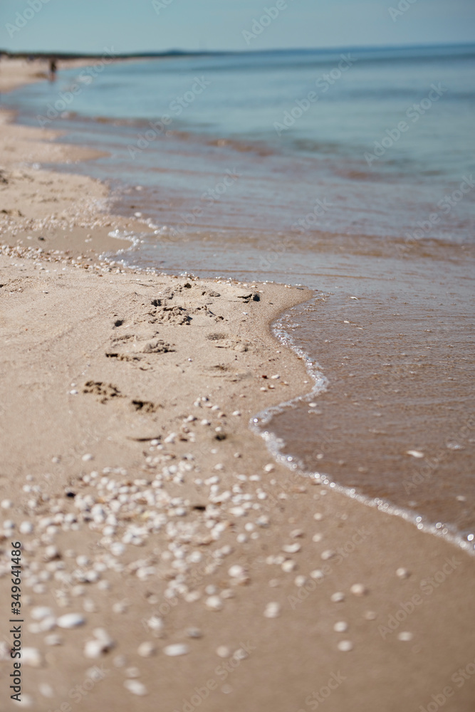 Muszle na plaży i fale morskie