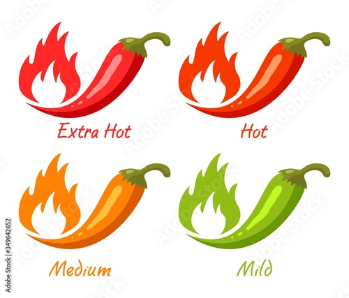 vector chili pepper with flames of fire as spicy food symbols