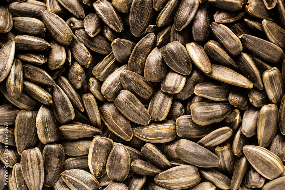 Black sunflower seeds. For texture or background Black sunflower seeds. For texture or background