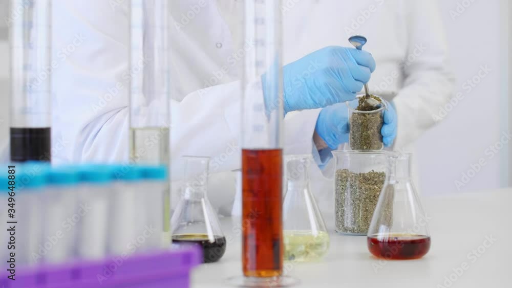 Close up of two scientists working with marijuana and laboratory spoon, writing results in tablet Close up of two scientists working with marijuana and laboratory spoon, writing results in tablet