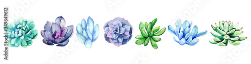 Watercolor set of bright hand drawn succulents, hand drawn