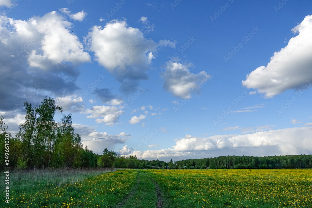 Beautiful countryside landscape. Green field and blue sky with beautiful clouds. Russia