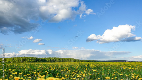 Country landscape. Green field and beautiful clouds on a blue sky