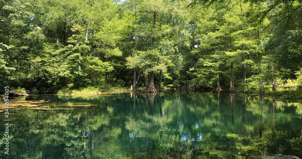 Wes Skiles Peacock Springs State Park, Florida - View of Peacock III Wes Skiles Peacock Springs State Park, Florida - View of Peacock III