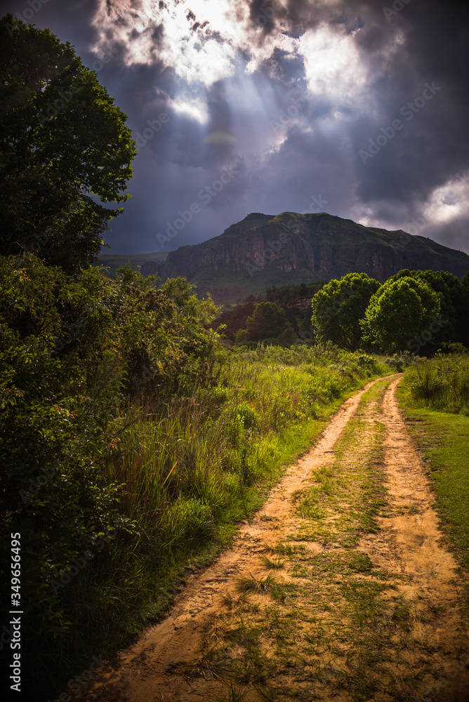 Road in the central Drakensberg South Africa