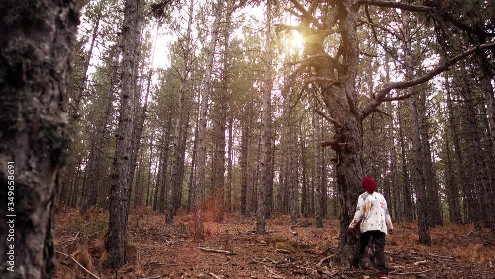Young woman hugs and loves a big tree in forest Young woman hugs and loves a big tree in forest