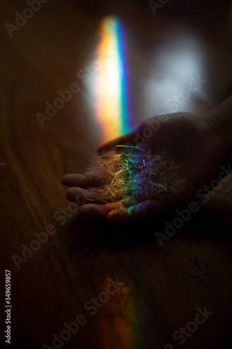mano con dandelion y arcoiris