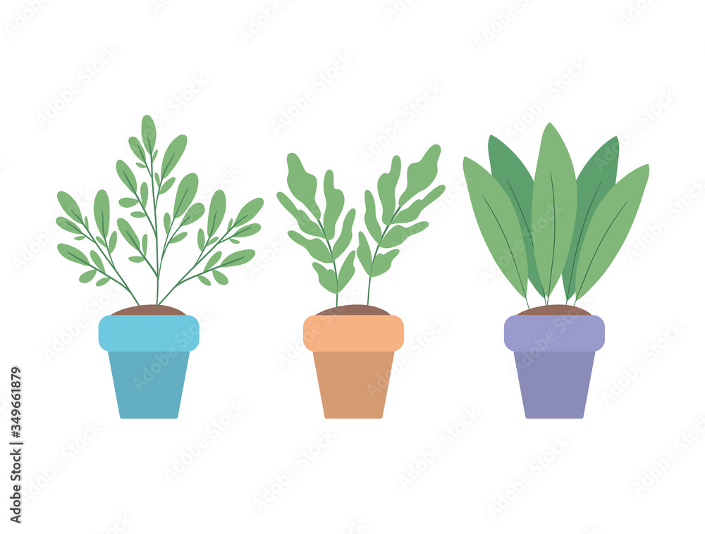 Isolated plants inside pots vector design