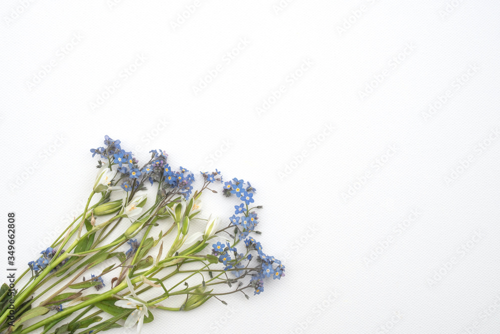 Naklejka premium Closeup of wild pastel flowers on white background