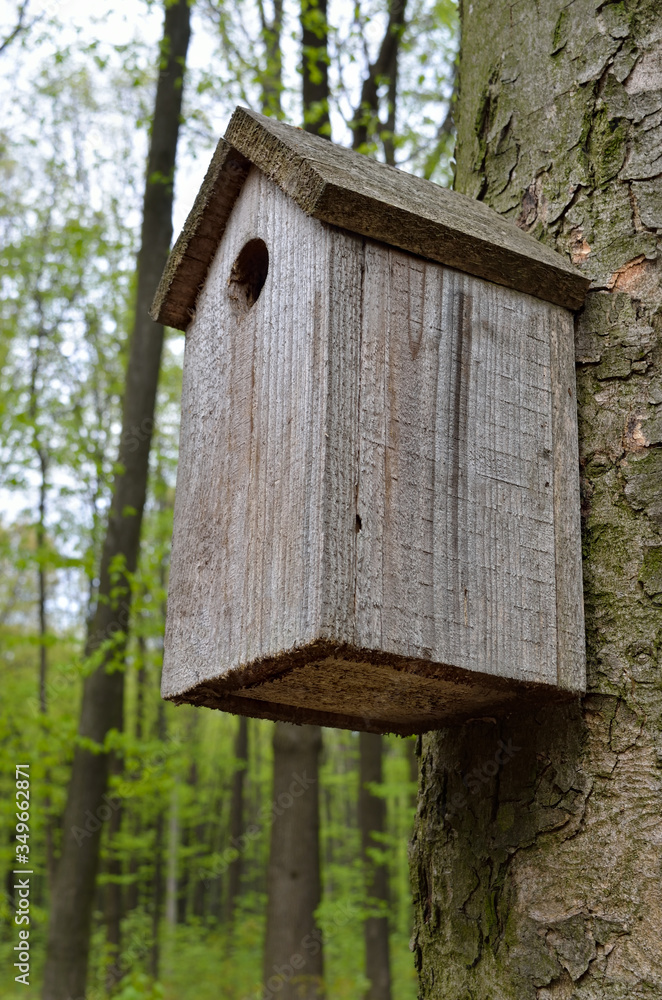 Birdhouse on a high tree in the forest