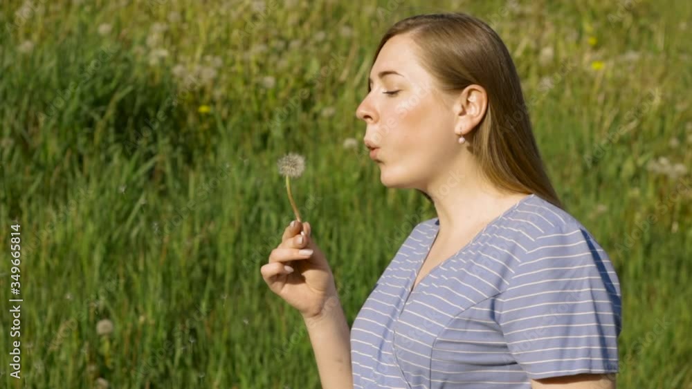 pretty caucasian girl with long hair blows away the dandelion in summer in field pretty caucasian girl with long hair blows away the dandelion in summer in field