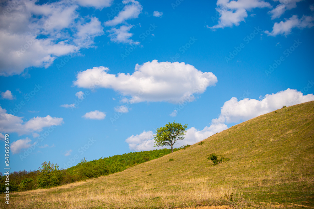 Sunny day in the springtime