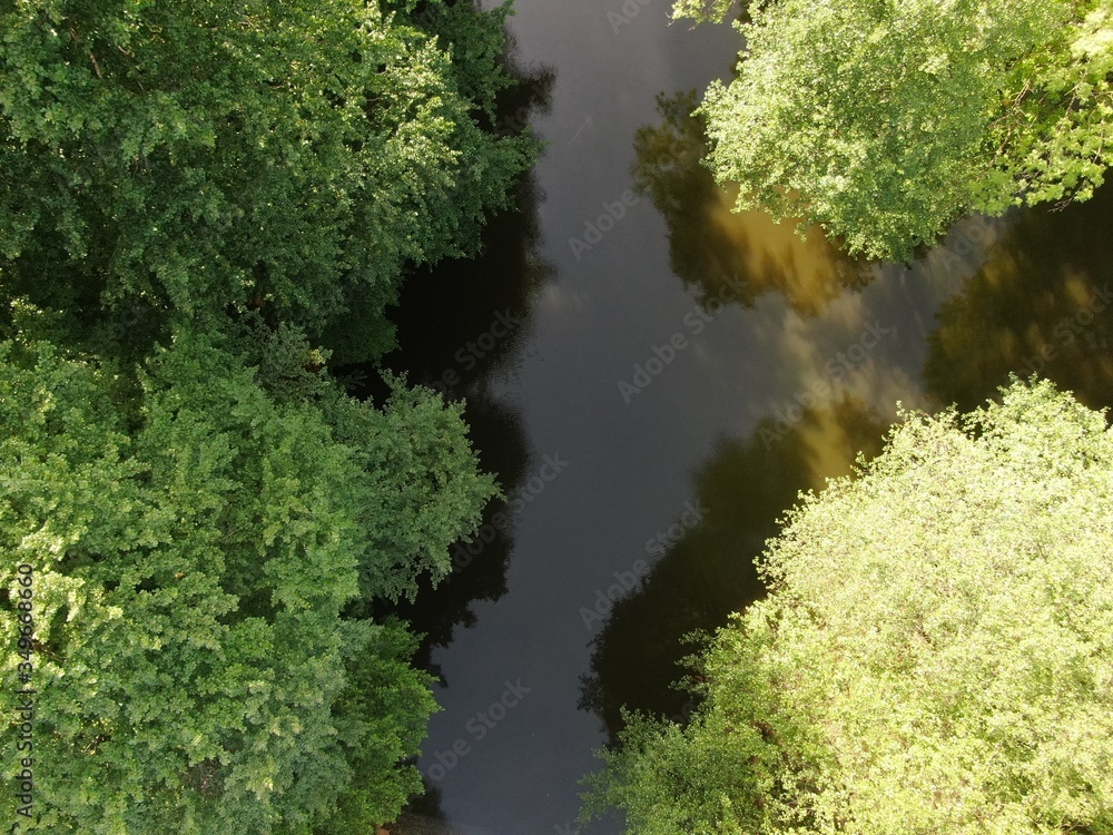 Aerial view of a lake surrounded by a beautiful forest . 